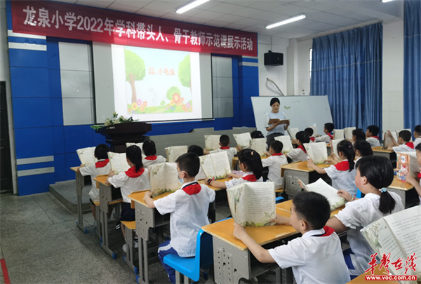 龙泉小学开展学科带头人、骨干教师示范课展示活动